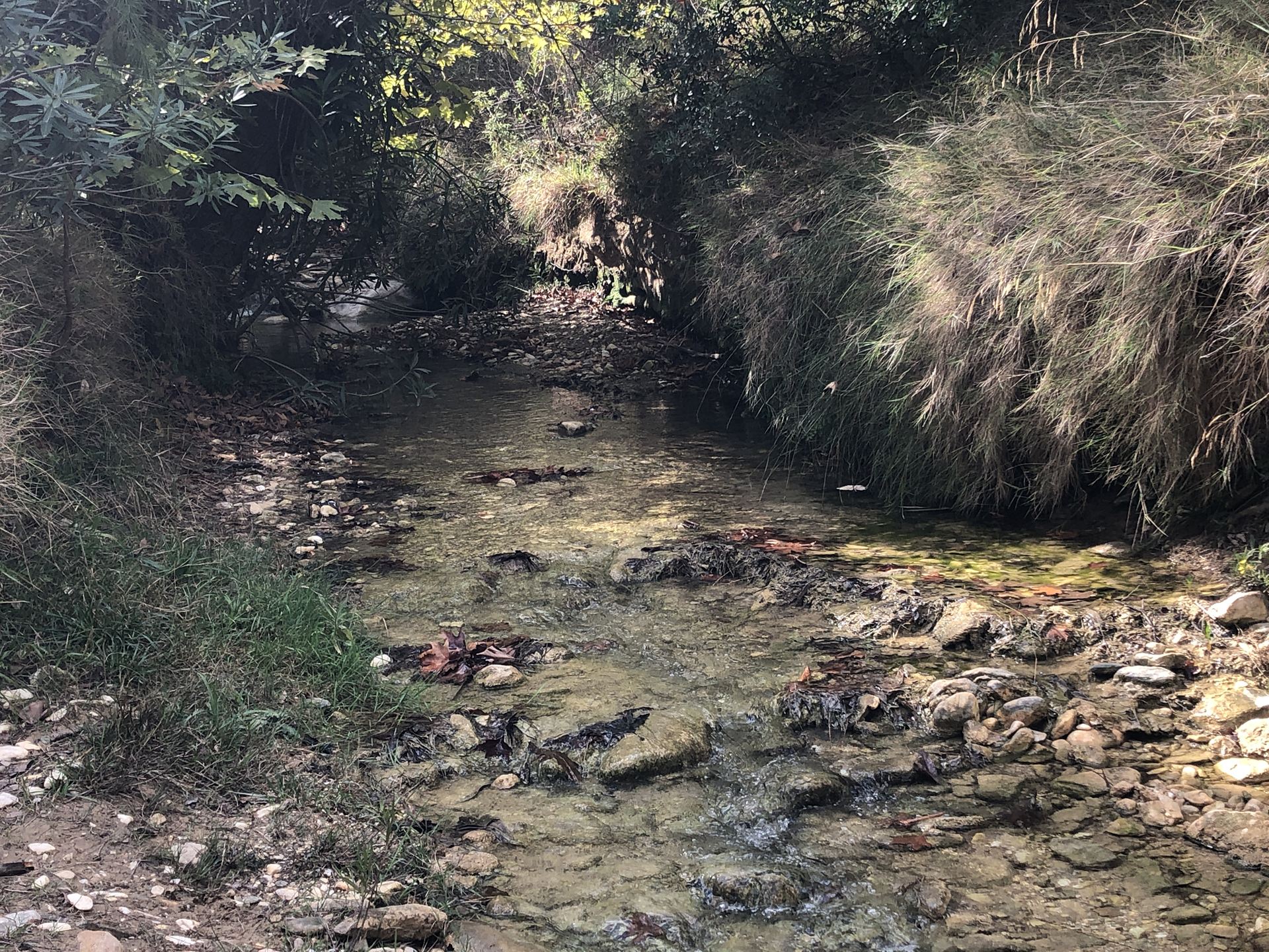 το ρέμα που φεύγει από τον καταρράκτη της Ραπεντώσας