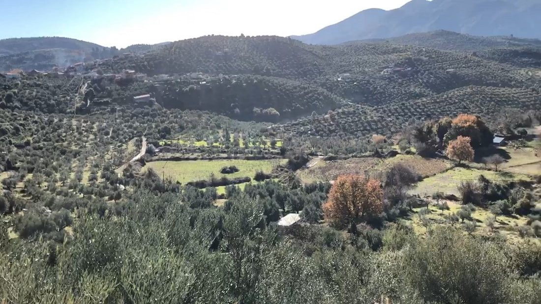 Βάσσες
