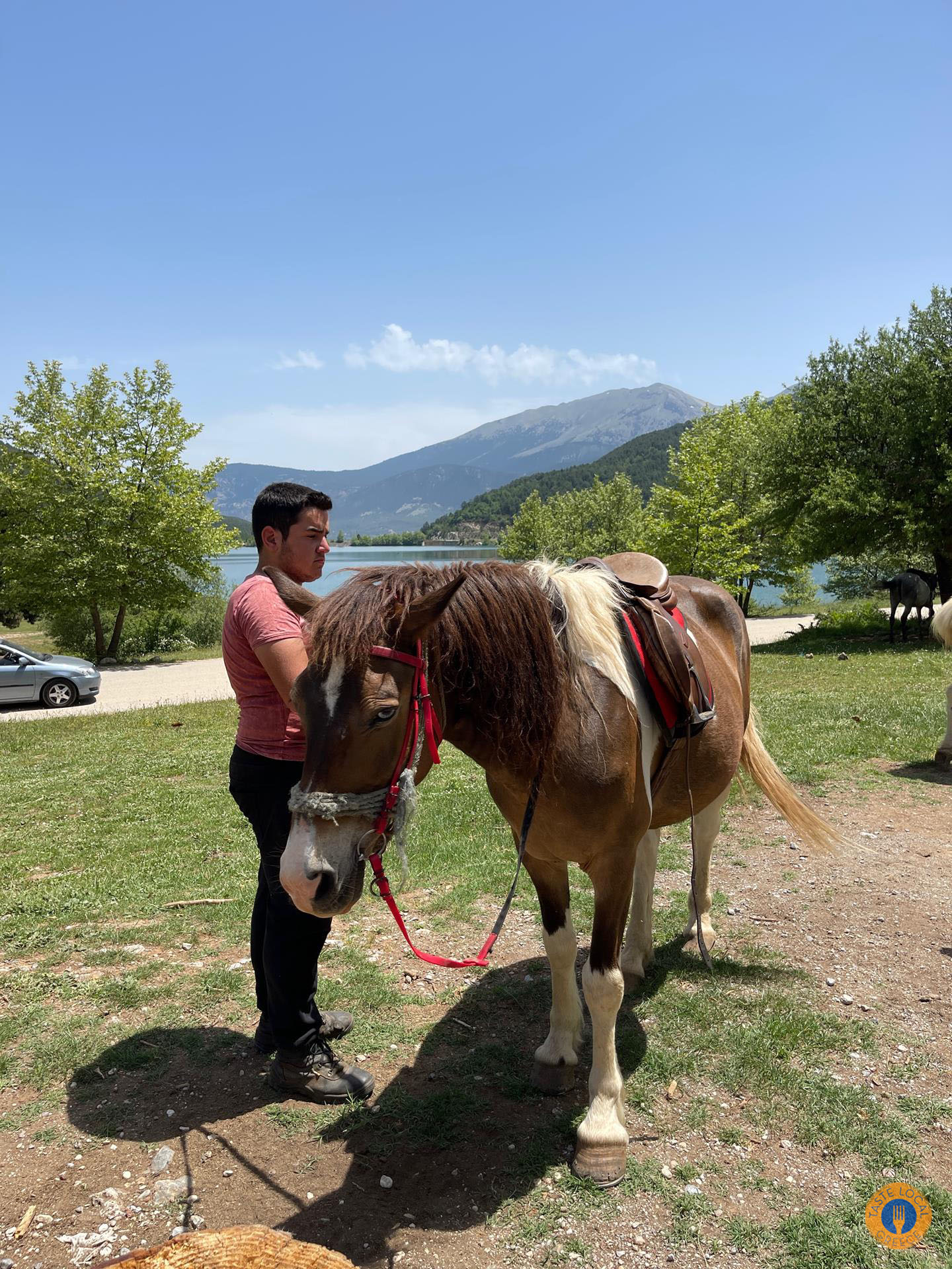 Βόλτα με άλογα στο δάσος