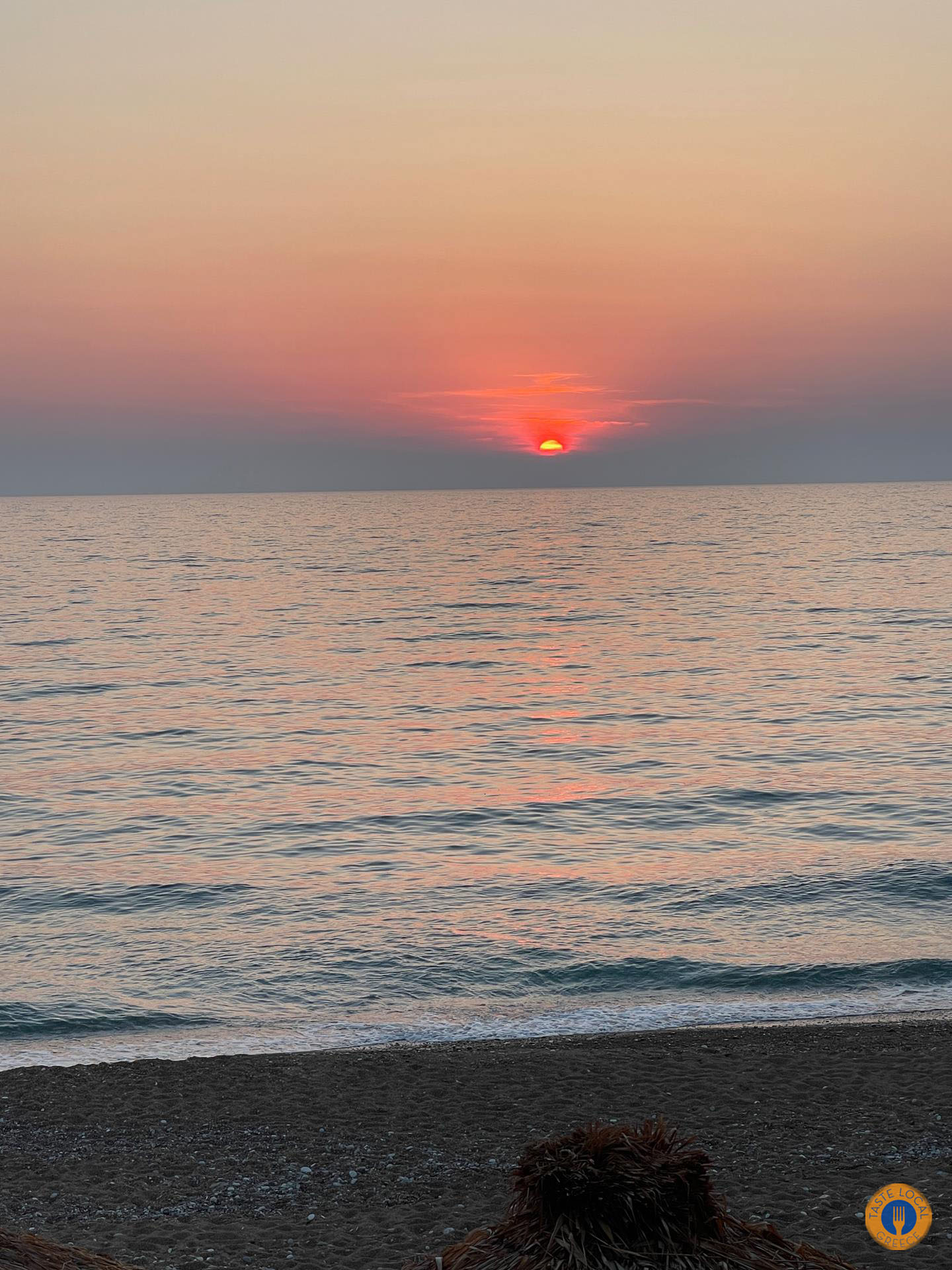 Βόλτα με άλογα στην παραλία της Ελαίας Κυπαρισσία