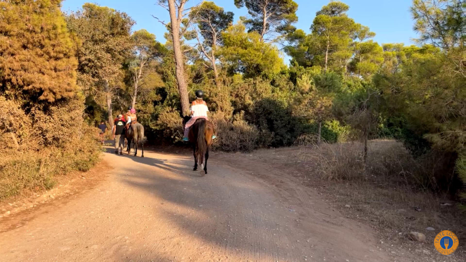 Βόλτα με άλογα