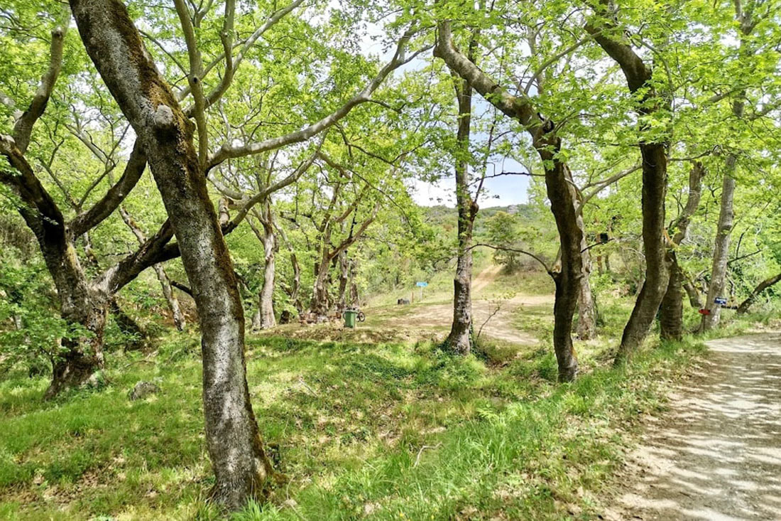 Τριήμερο στην Ορεινή Αρκαδία - Αηδόνια