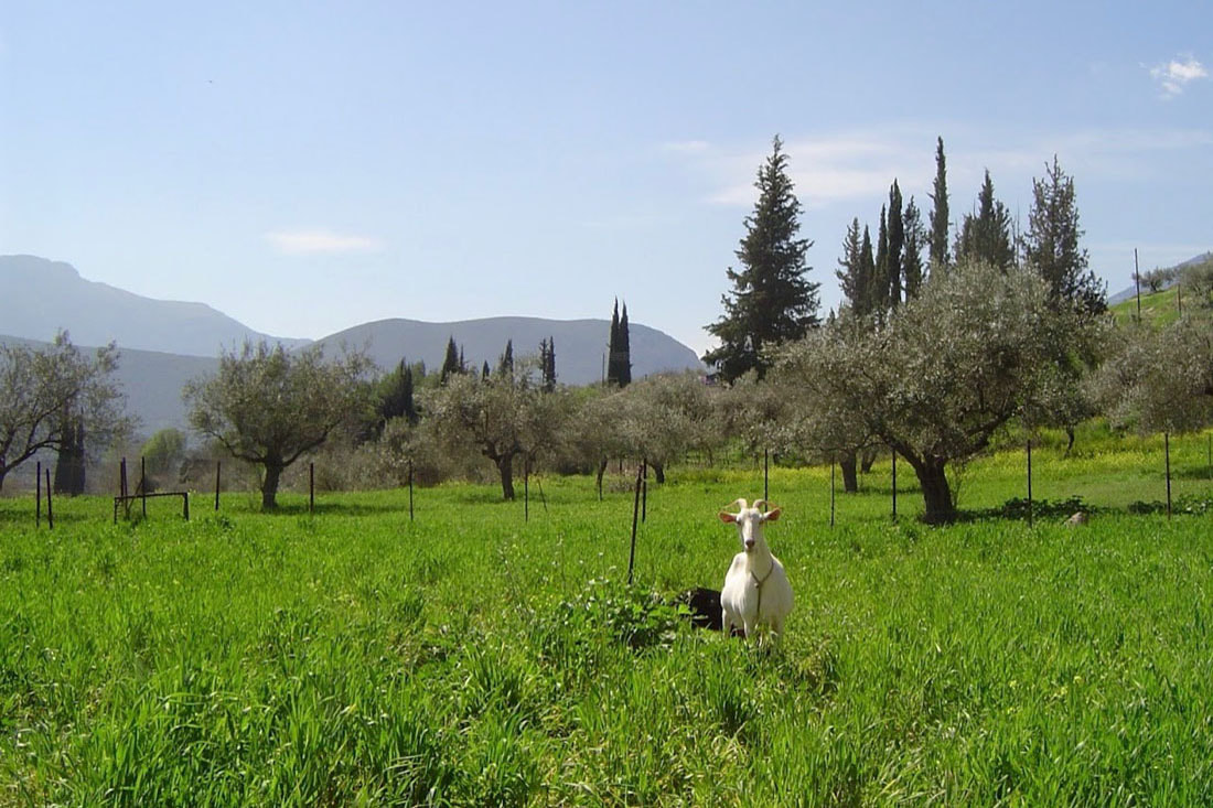 Τριήμερο στην Ορεινή Αρκαδία - Αηδόνια