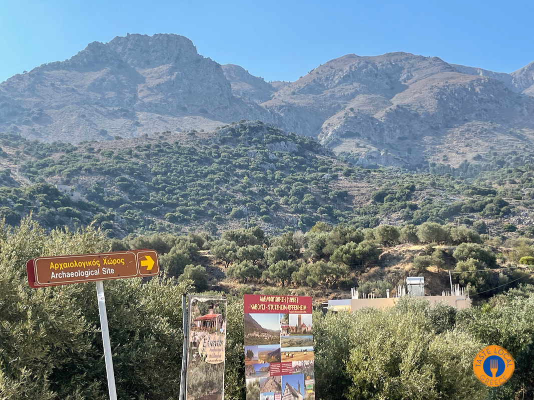 αρχαία ελιά Καβούσι