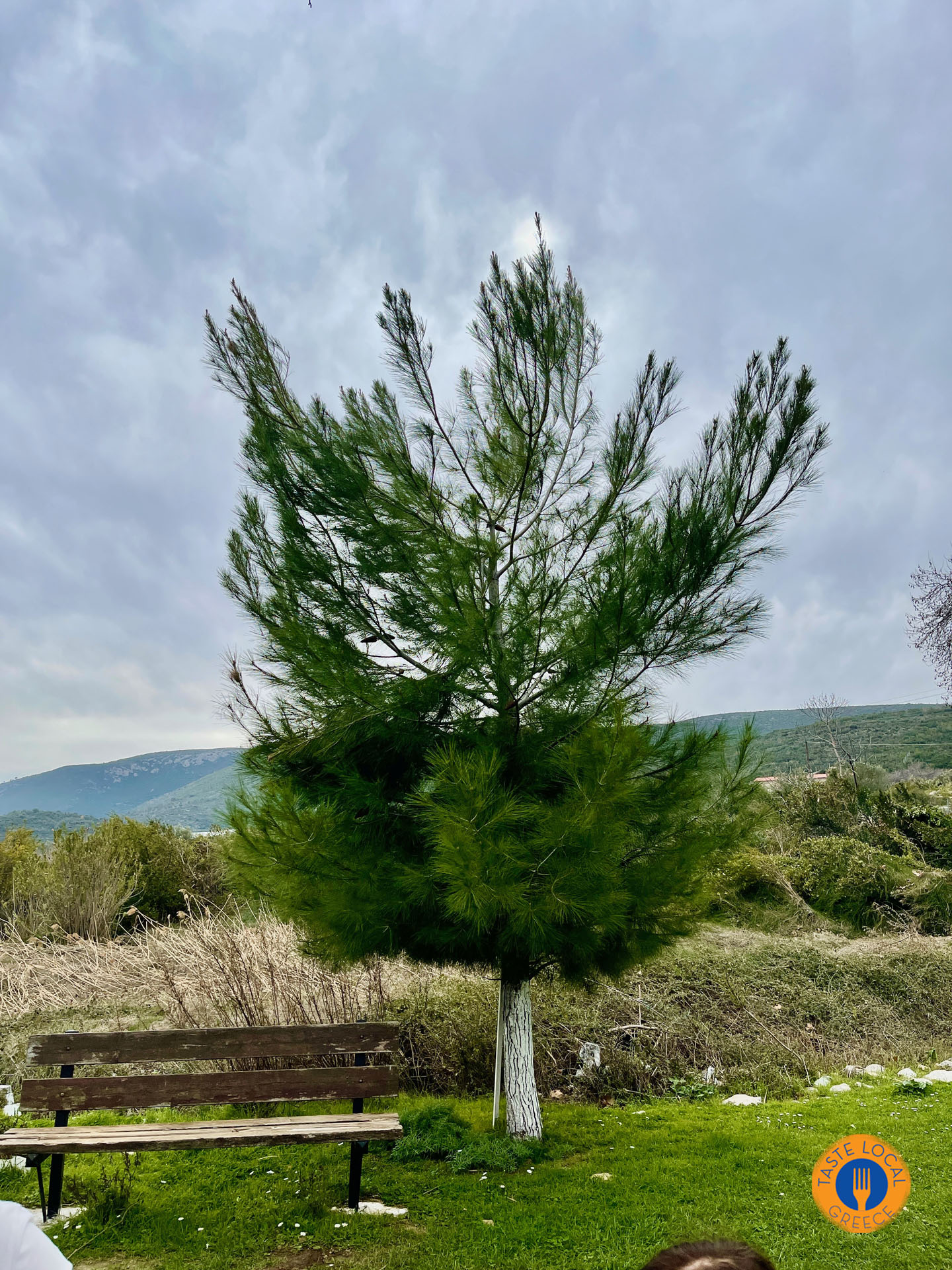 Άγιοι Απόστολοι δίπλα στον Μεσαιωνικό πύργο του Μαραθώνα