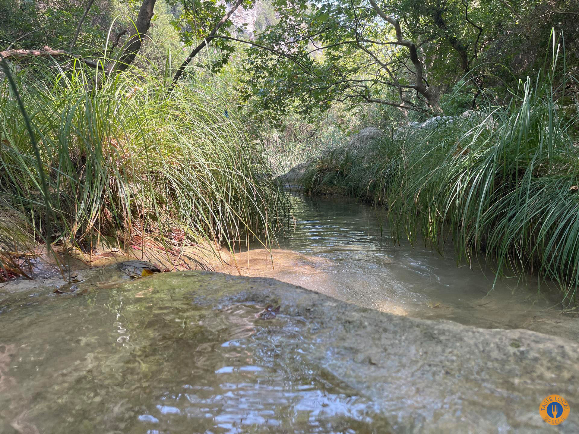 Η φύση στους καταρράκτες Πολυλίμνιο