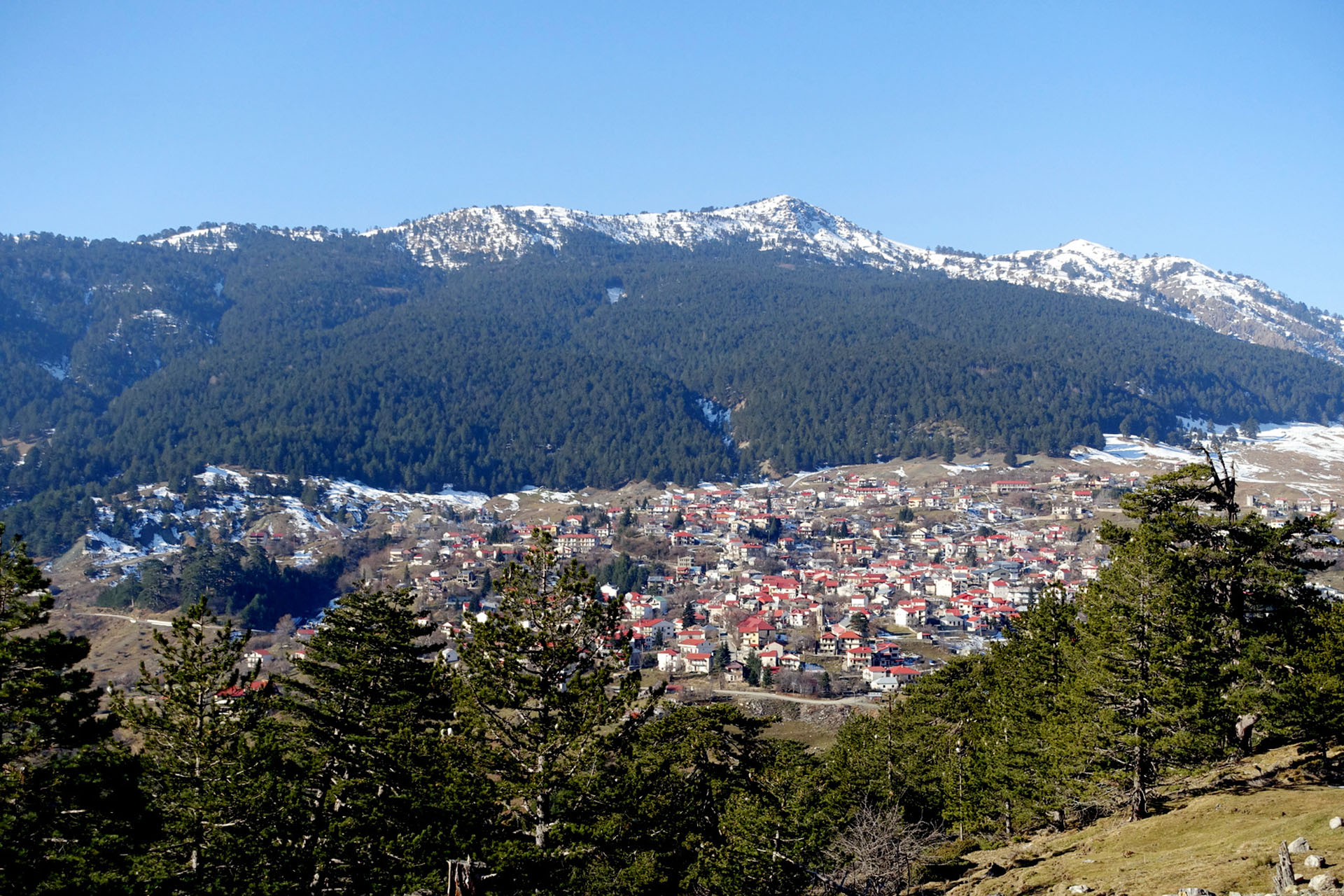 Σαμαρίνα το βλαχοχώρι της Πίνδου