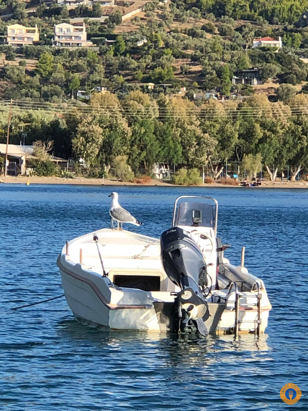 Λιμνοθάλασσα Βουλιαγμένης Λουτρακίου