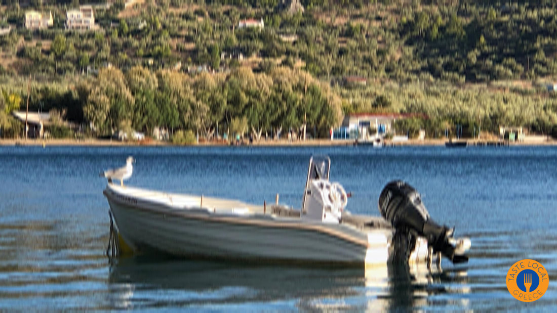 Καλαμάρι ψητό Στην ταβέρνα επάνω στην Λίμνη