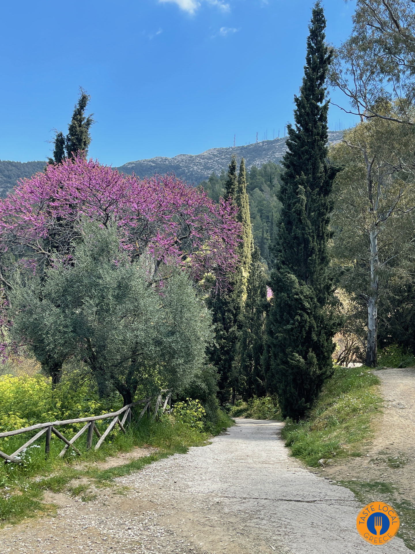 Υμηττός το οικογενειακό βουνό των Αθηναίων