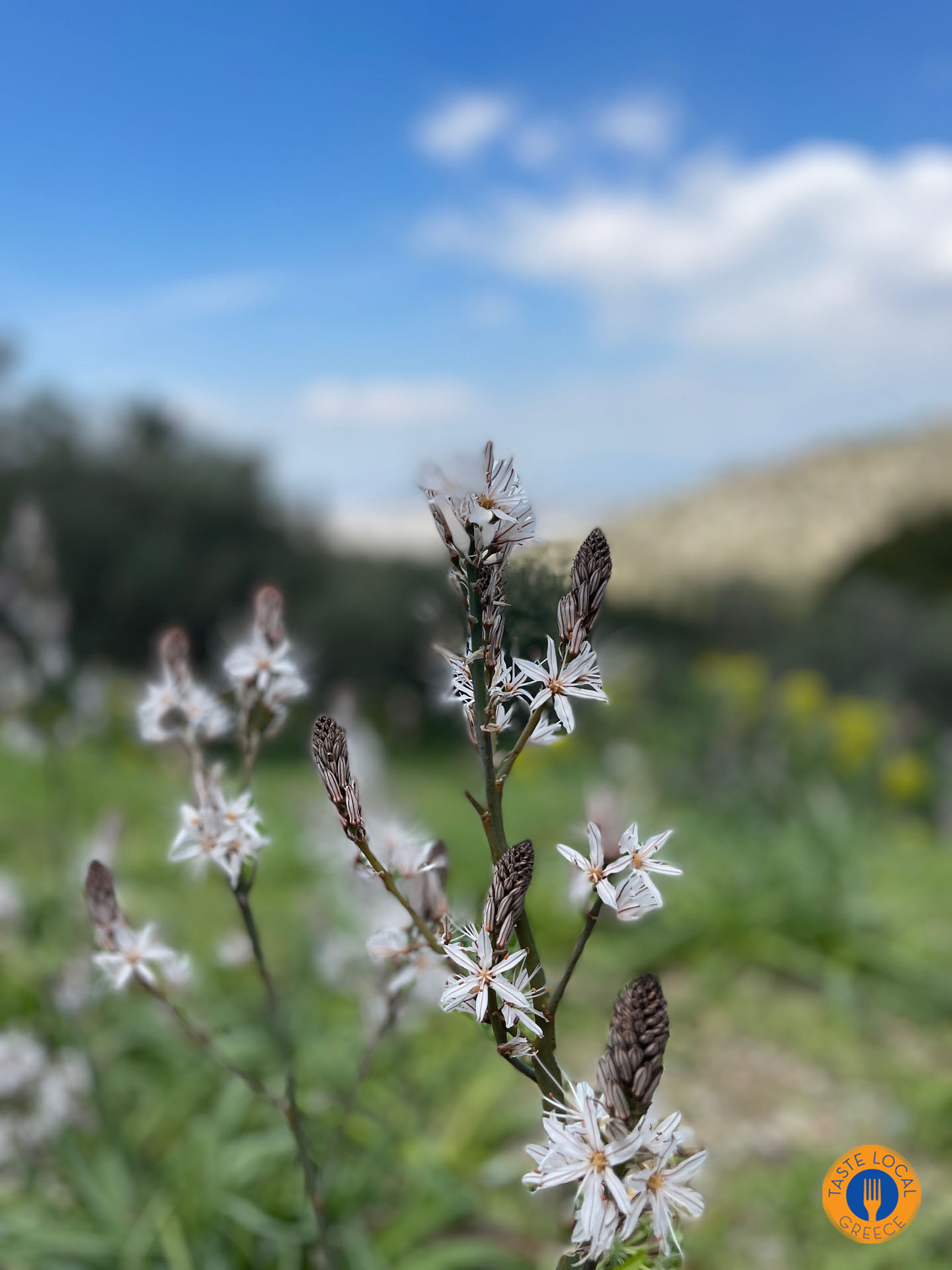 Υμηττός το οικογενειακό βουνό των Αθηναίων