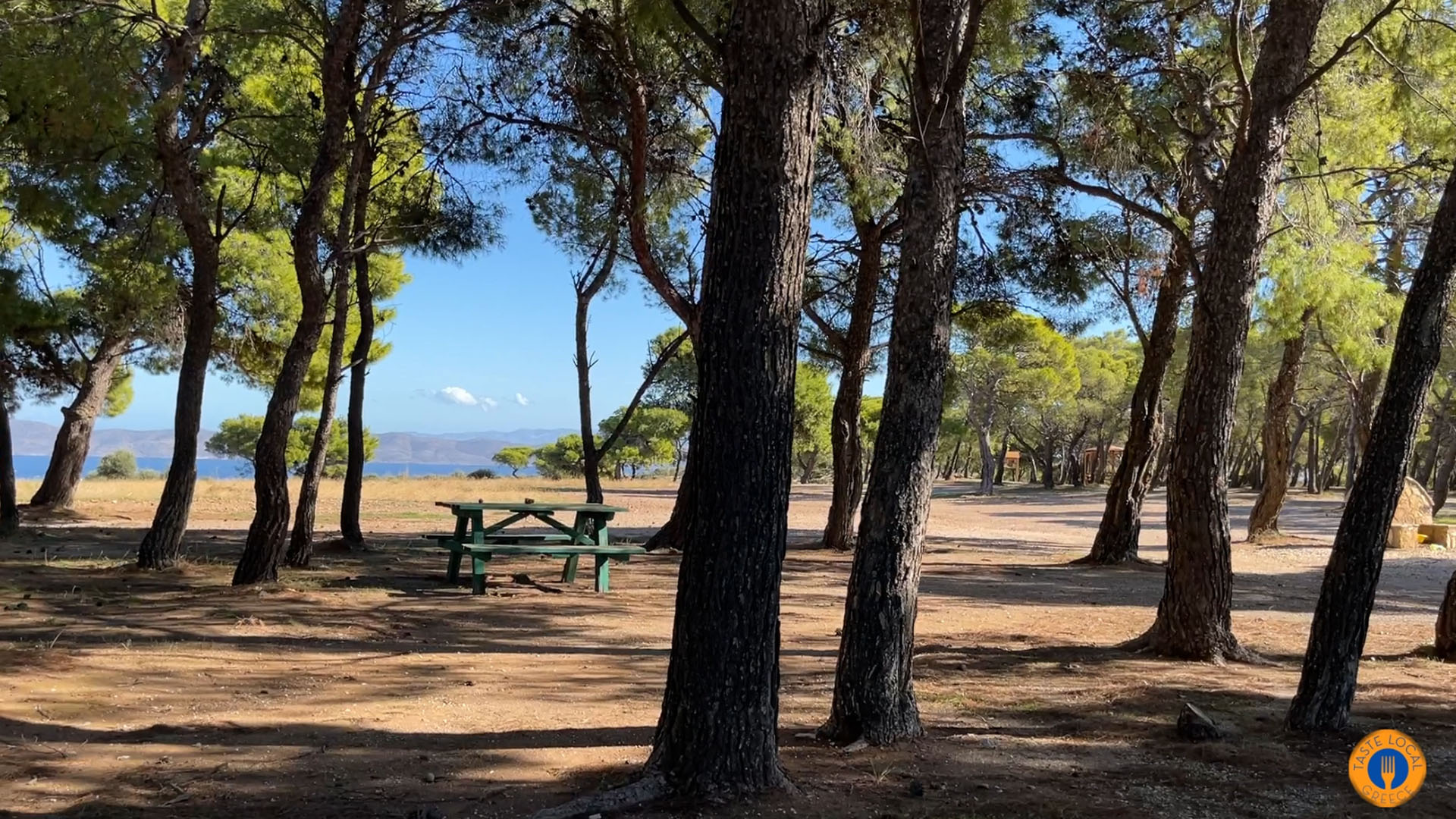 Η φύση προς το Έγκοιλον Χάος  μέσα στον Εθνικό δρυμό Λαυρίου