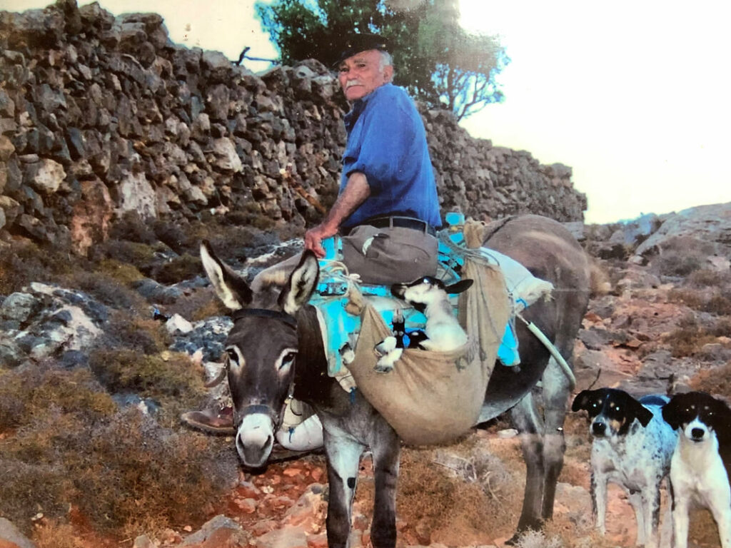 Ο Γιωργής ο Λιόντας 