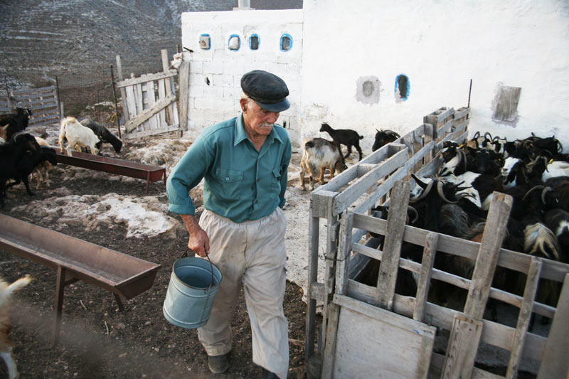 Γιώργος Νικολάκης Λιόντα φτιάχνοντας σιτάκα στο μητάτο