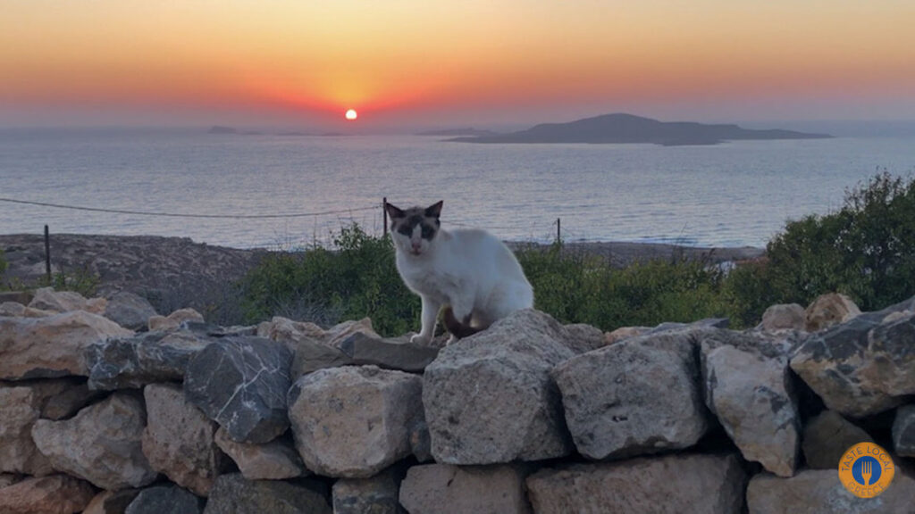 Δύση στ Αρμάθια Κάσος