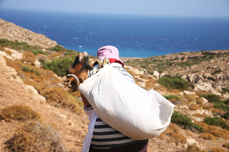 Με το κατσίκι στην πλάτη